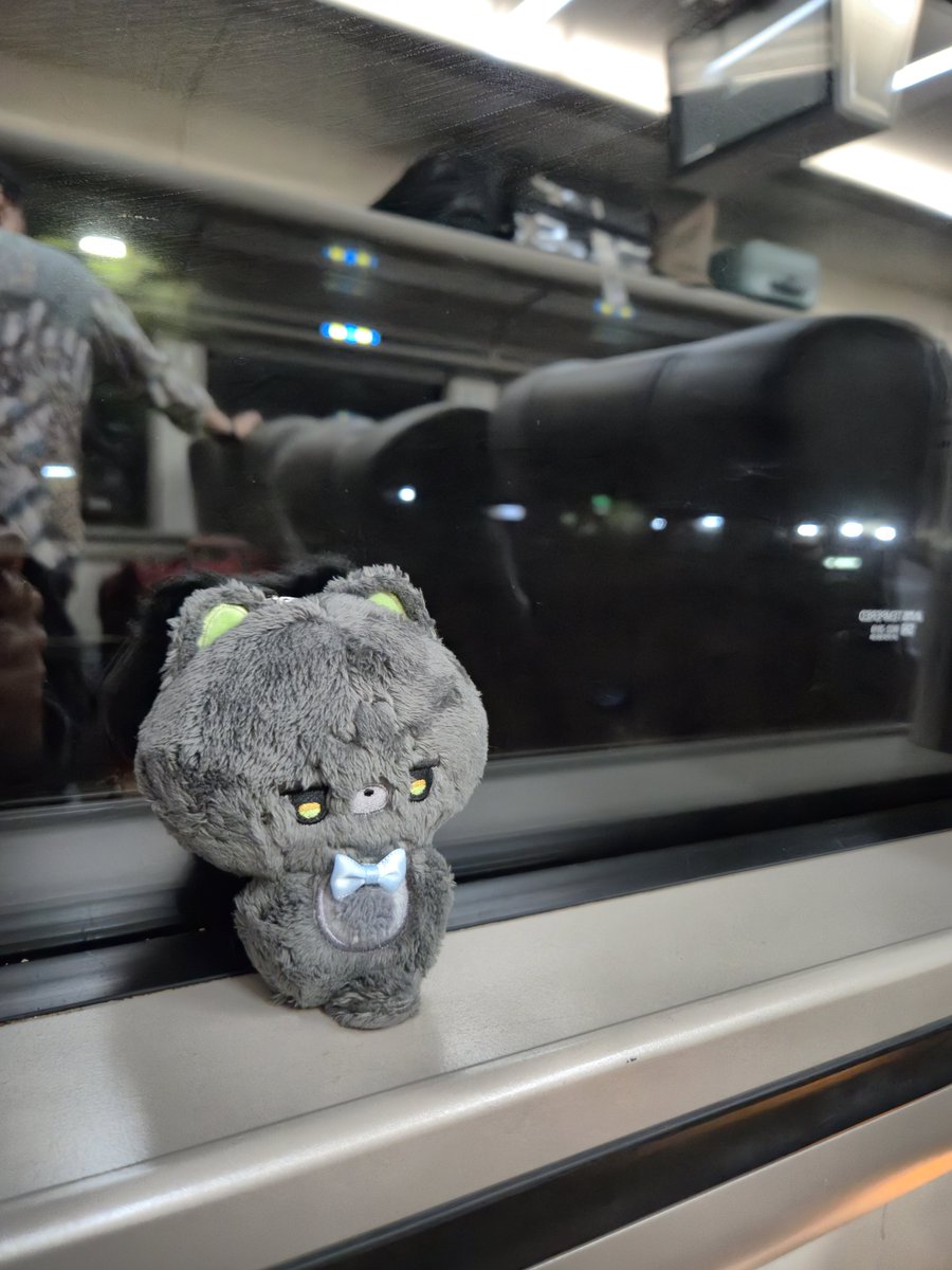 7mimpi's tweet photo. Our trip last sept 💕 with kitty and Mr. Seal https://t.co/9t76S7EQnx