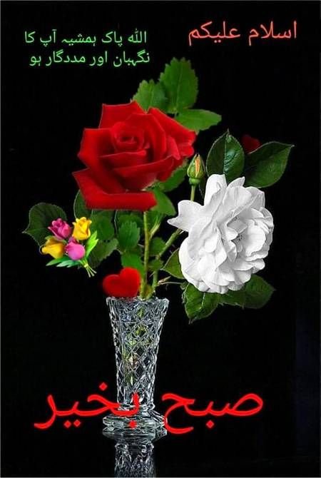 2_kivu's tweet photo. 🌺اَلسَّلَامُ عَلَیْکُم وَرَحْمَةُ اللهِ وَبَرَكَاتُه‌💐
 
صباح الخیر 💕 

"لوگوں کی باتیں پتھر کی طرح ہوتی ہیں۔ تم اگر اِنہیں سر پر سوار کرو گے تو یہ تُمہاری گردن توڑ دیں گی، اور اگر انہیں پیروں تلے رکھوں گے تو آپ کا قد اونچا ہو گا۔"

#اردو_زبان https://t.co/LChTB6YZIK
