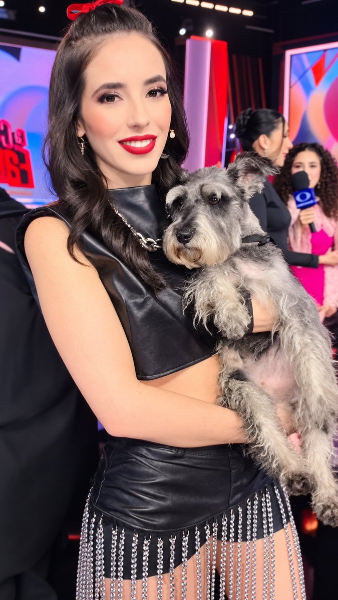 Teamarantzapika's tweet photo. Arantza llevo a un acompañante ala gala hoy banito 💎🐕💗 https://t.co/lRSRJg4M63