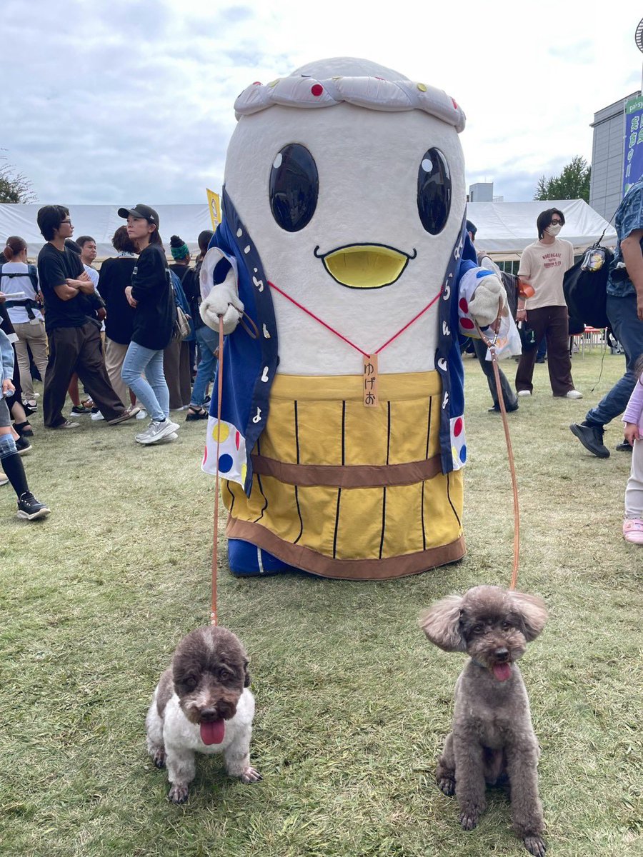 yurika_crin's tweet photo. #ご当地キャラカーニバルinぐんま2026 
 #ゆげお とワンちゃん🐶ネコちゃん🐱

いつも、ワンちゃんにほえられてるゆげお😂
群馬のワンちゃんはゆげおに優しかった🥰

※ネコちゃん➡️ #みっけちゃん https://t.co/j6TZEyCemA