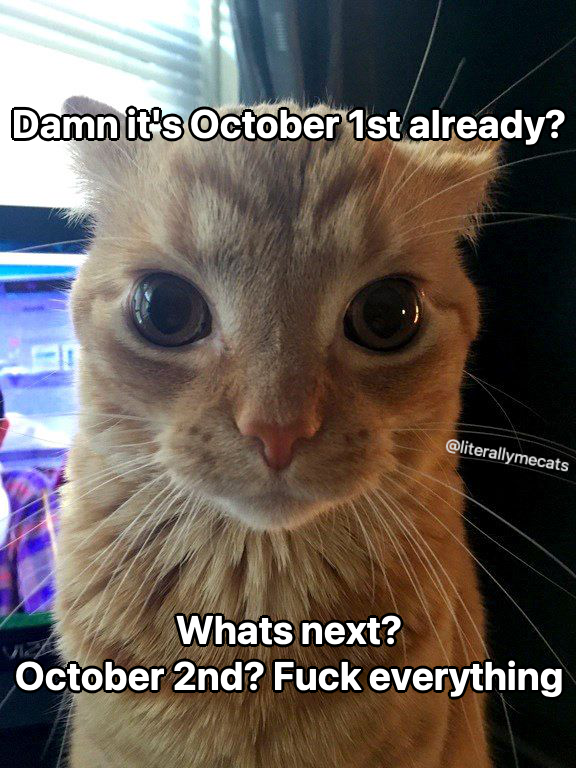 literallymecats's tweet photo. https://t.co/7ZQls0oeHS