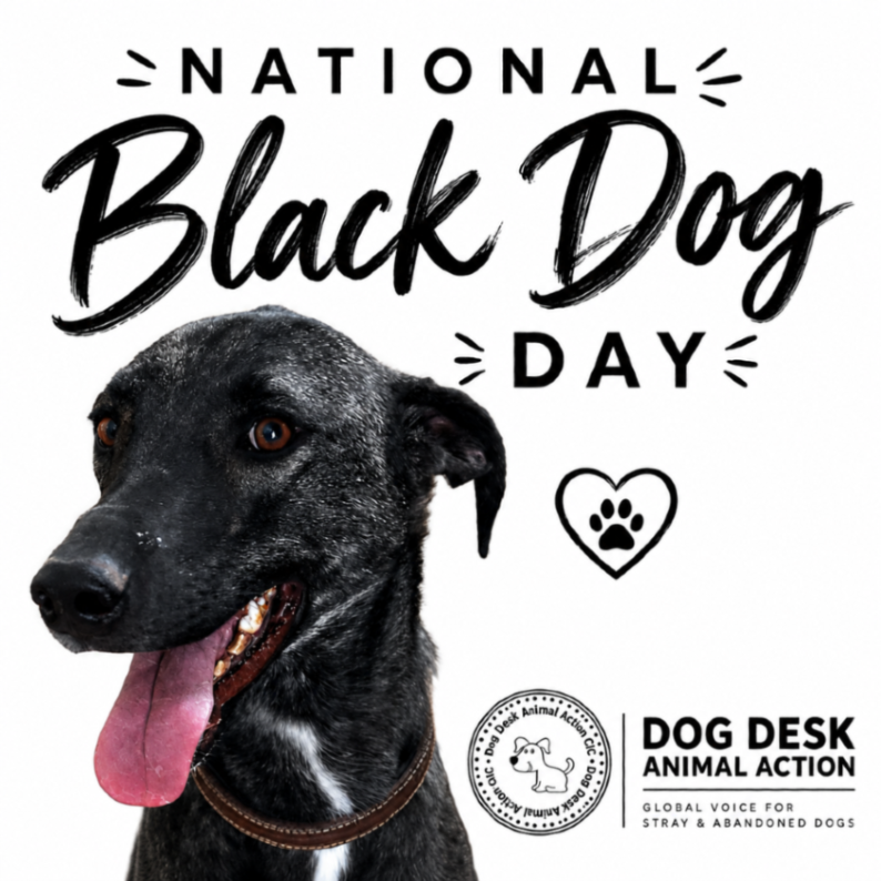 DogDeskAction's tweet photo. 🖤 Happy National Black Dog Day! 🖤

Today is all about celebrating beautiful black dogs everywhere.

Give the black dog in your life an extra cuddle from us today 🐾❤️ https://t.co/hBGQGYrNJC