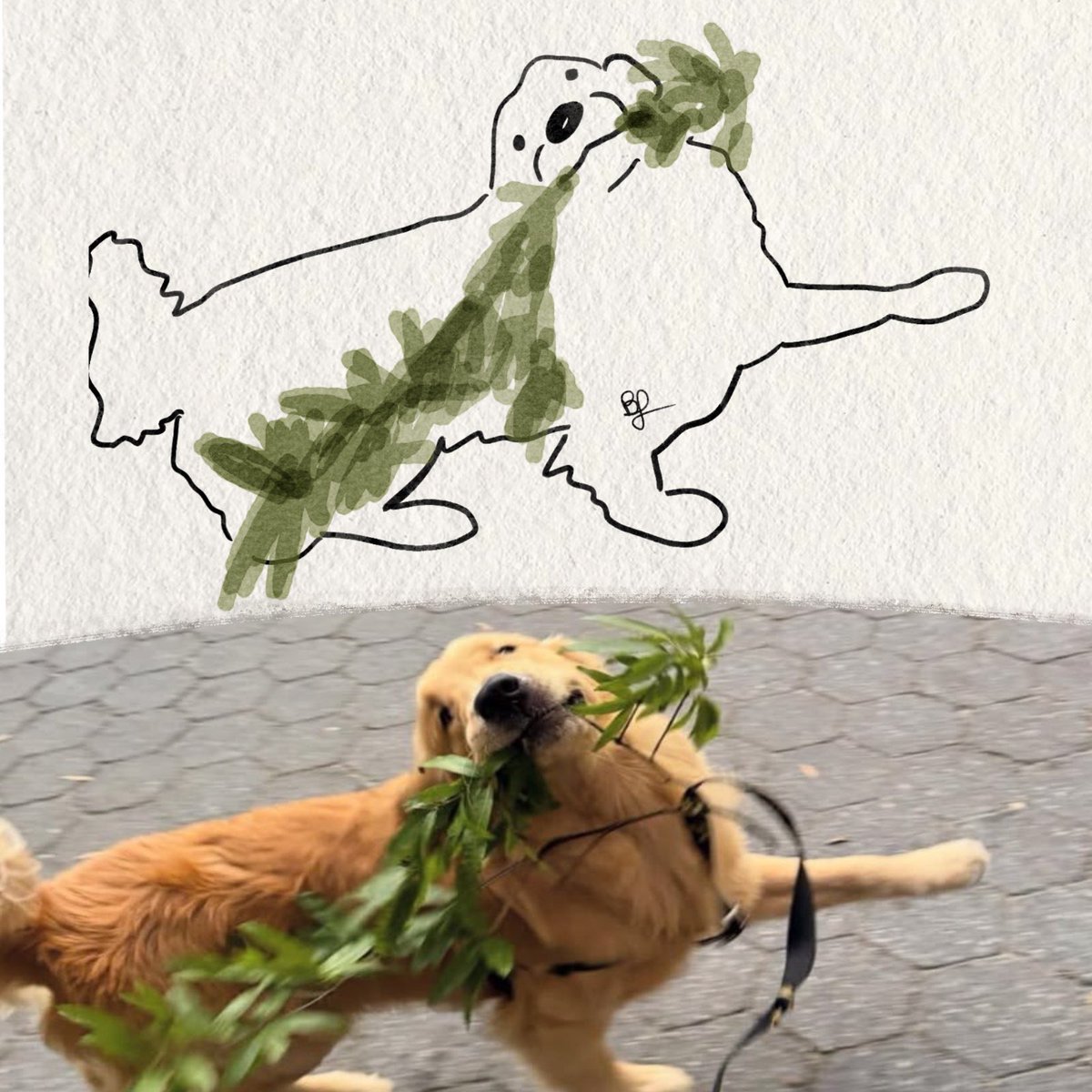 twaniimals's tweet photo. https://t.co/ABowJpcYtI