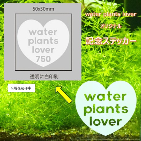waterplantslov1's tweet photo. ついに発売になります
「最新 アクアリウム超水草図鑑 750種」
10月27日発売　
予約販売中
webshopにもあげてあります。
https://t.co/kWk1rJ1Ps5
詳細はブログにあげてます
https://t.co/wMtUOEgShb

#水草専門店 #waterplantslover #水草 #ボトルアクアリウム #ビオトープ #水草図鑑 https://t.co/j1Uaaek6OI
