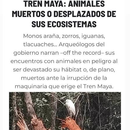 AlejandraAL2017's tweet photo. @lopezobrador_ EL DESMADRE QUE DEJO.
Ratero, corrupto, mentiroso, ecocida. Que todo se le regrese multiplicado. https://t.co/n3AhmmfVBH