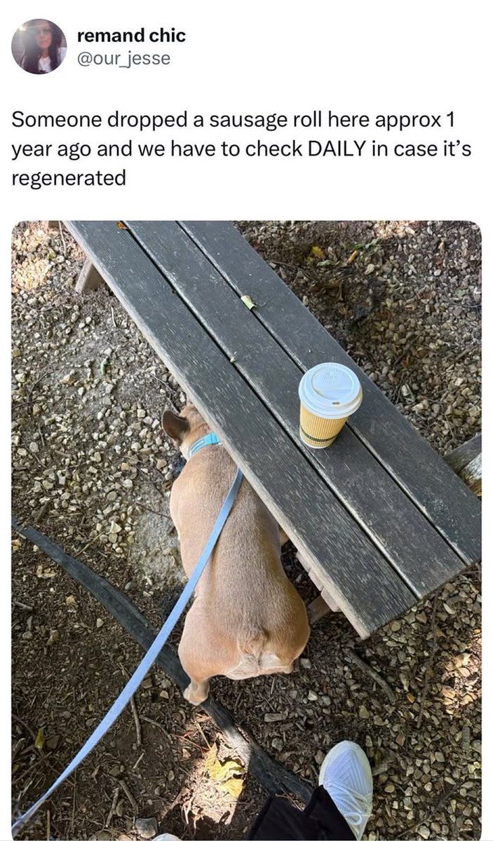 ThatEricAlper's tweet photo. https://t.co/GaKdYYioLj