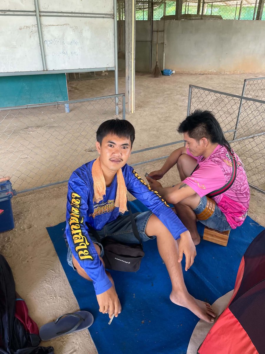 RNthr92487's tweet photo. ❤️🐓 #กันทรลักษ์ #ศรีสะเกษ #ไก่ชน https://t.co/0A0Pet3HeF