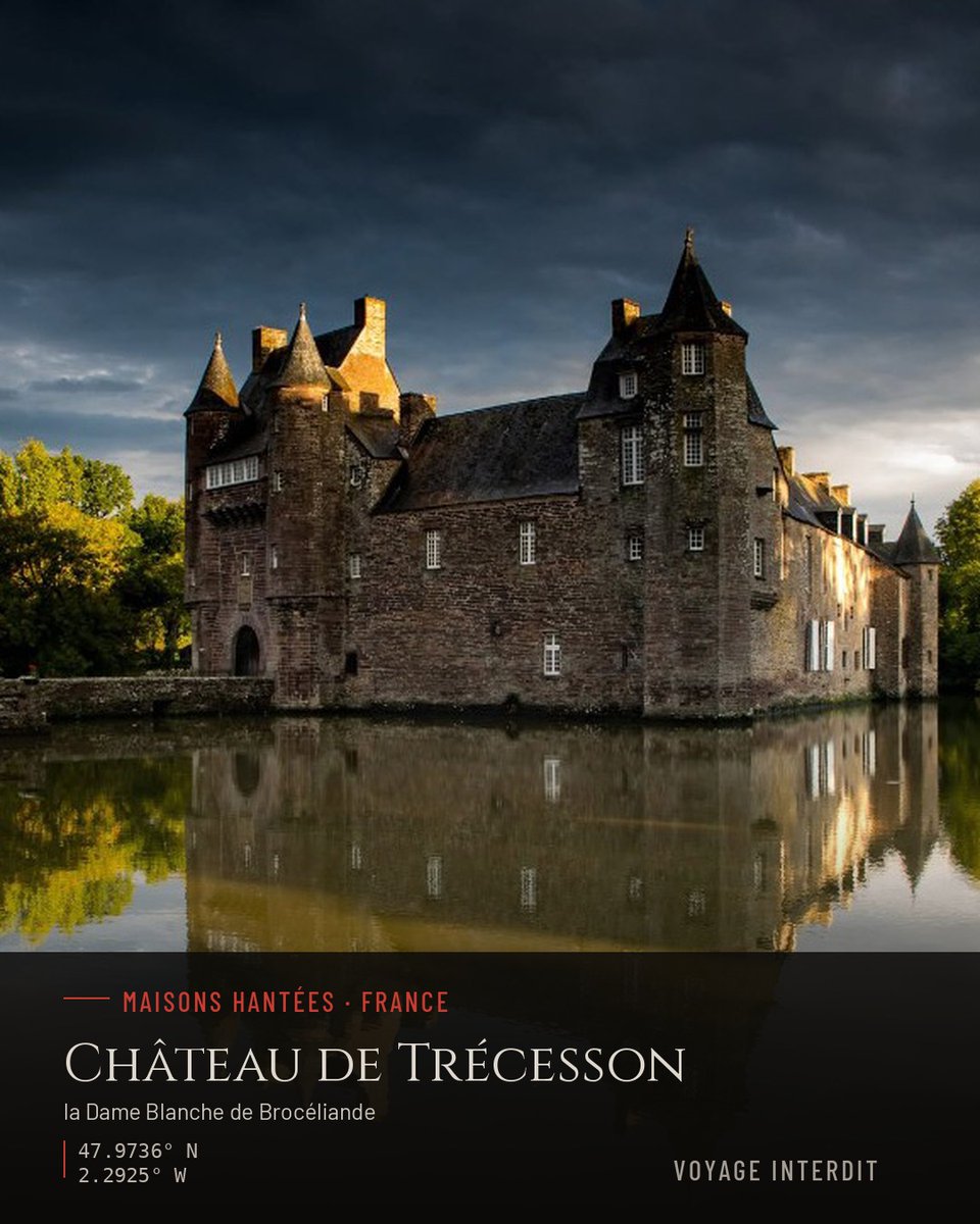 VoyageInterdit's tweet photo. 👰 Une mariée enterrée vivante par deux hommes masqués, une nuit d'automne — et depuis, on dit que son fantôme flotte sur l'étang les nuits de pleine lune.

Aux portes de la forêt de Brocéliande, le château de Trécesson dresse ses murailles de schiste rouge au bord d'un étang qui les reflète comme un miroir sombre. Construit pour l'essentiel au XVe siècle, ce joyau breton remarquablement conservé traîne la réputation d'être l'un des châteaux les plus hantés de la région, porté par la légende glaçante de la Dame Blanche : une jeune mariée inconnue, enterrée vivante au XVIIIe siècle par deux gentilshommes masqués, peut-être ses propres frères, pour une raison jamais élucidée.

À cette légende s'ajoutent d'autres récits plus discrets : des joueurs fantômes rejouant éternellement une querelle autour d'or caché, la mystérieuse « Chambre aux Revenants », ou encore un curé sans tête. Rien n'est attesté, mais la première version écrite de la Mariée, dès 1824, se présentait déjà comme inspirée d'un fait divers réel.

Oseriez-vous vous approcher de l'étang à la tombée du jour ? 👇

📍 Château de Trécesson, Campénéac, Brocéliande, France

🔗 Récit complet sur https://t.co/X5hCWmcIG2 (lien en bio)

#ChâteauDeTrécesson #Trécesson #Brocéliande #Campénéac #Bretagne #DarkTourism #TourismeDeMémoire #VoyageInterdit #DameBlanche #ChâteauHanté #LégendeBretonne #Paranormal #Ghosthunting #HistoireInsolite #PatrimoineBreton #Morbihan #LégendeArthurienne #ChâteauDeFrance #FranceInsolite #VisiterLaBretagne