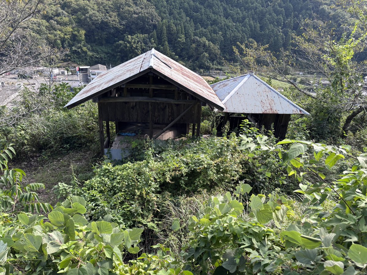 SiloVine's tweet photo. 備中・正霊山城なう

先程から何度か名前を上げている藤井氏の居城。標高50mという小山に建つ城だが、東は川で、北は二重堀切を設けている。南は現在墓地や堂宇が建つが、郭だったと思われ、それぞれの郭の高低差も大きく、守りは固いと思われる

南の堂宇の建つ郭、主郭
北の二重堀切内側、外側 https://t.co/z3fHPiLRTC