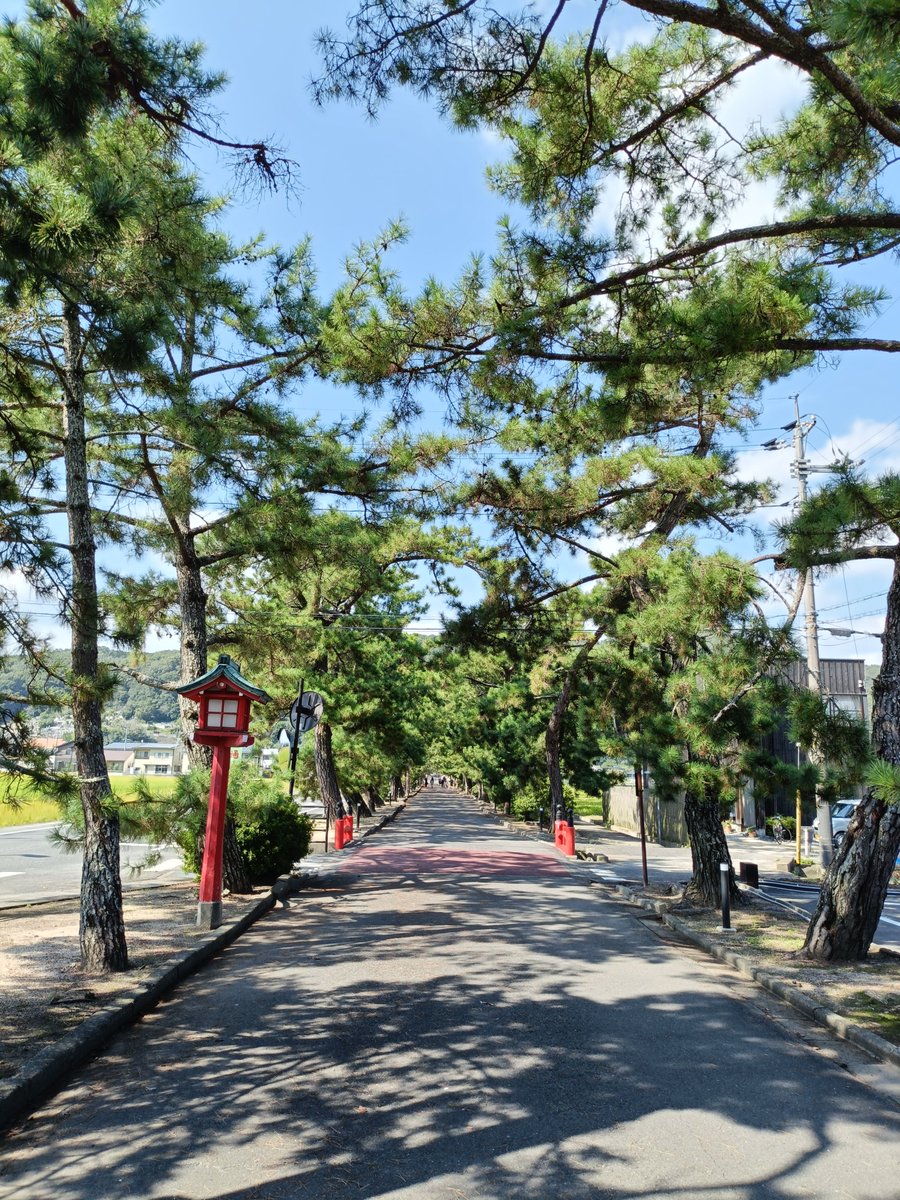 nekousagi4869's tweet photo. アナウンスで自分の名前呼ばれた気がしたけど、気のせいだと思ってスルー。
帰りにICOCAがないことに気づいて戻る。
名前付きの定期を受け取る。
やっぱり呼ばれてた〜！

なお電車は1時間に1本なので、余裕で間に合いました。
＃吉備津神社 https://t.co/RA6Ao9CFGa