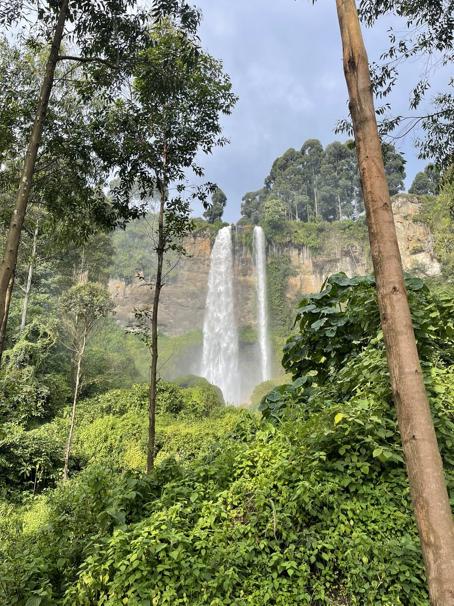 KitondeNutri's tweet photo. Sometimes, healing begins simply by stepping outside, breathing deeply, and letting nature remind your soul how to be at peace.🌿🌳☀️ https://t.co/AXN7qNqLSw