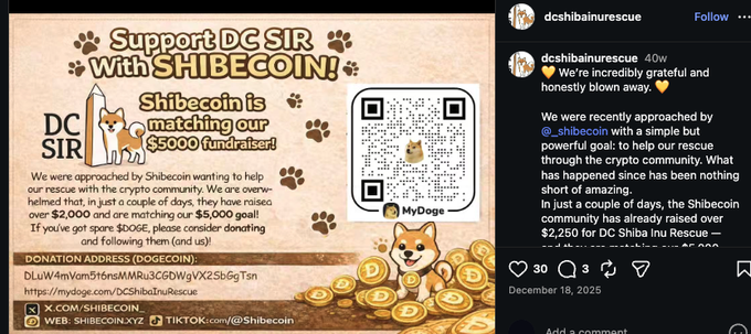 notsuted's tweet photo. Shibecoin was the earliest Doge-inspired coin, launched on Bitcointalk back in May 2014

new inu charity just got added we can finally run inucoin to help save inus

LOOK AT THEIR IG THEY MADE THEIR OWN DOGE COIN

 https://t.co/eWaTjS2Iym

CA: 53pf3BAskUqpGkU8S6LUc5Q1eVbx6sq6m8uJvKfSpump