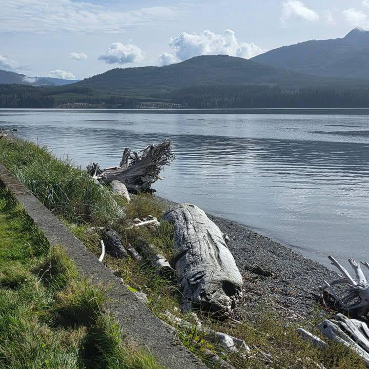 WorldCityX's tweet photo. Alert Bay, British Columbia
Beautiful day today out here. https://t.co/U5qf9QWfPp