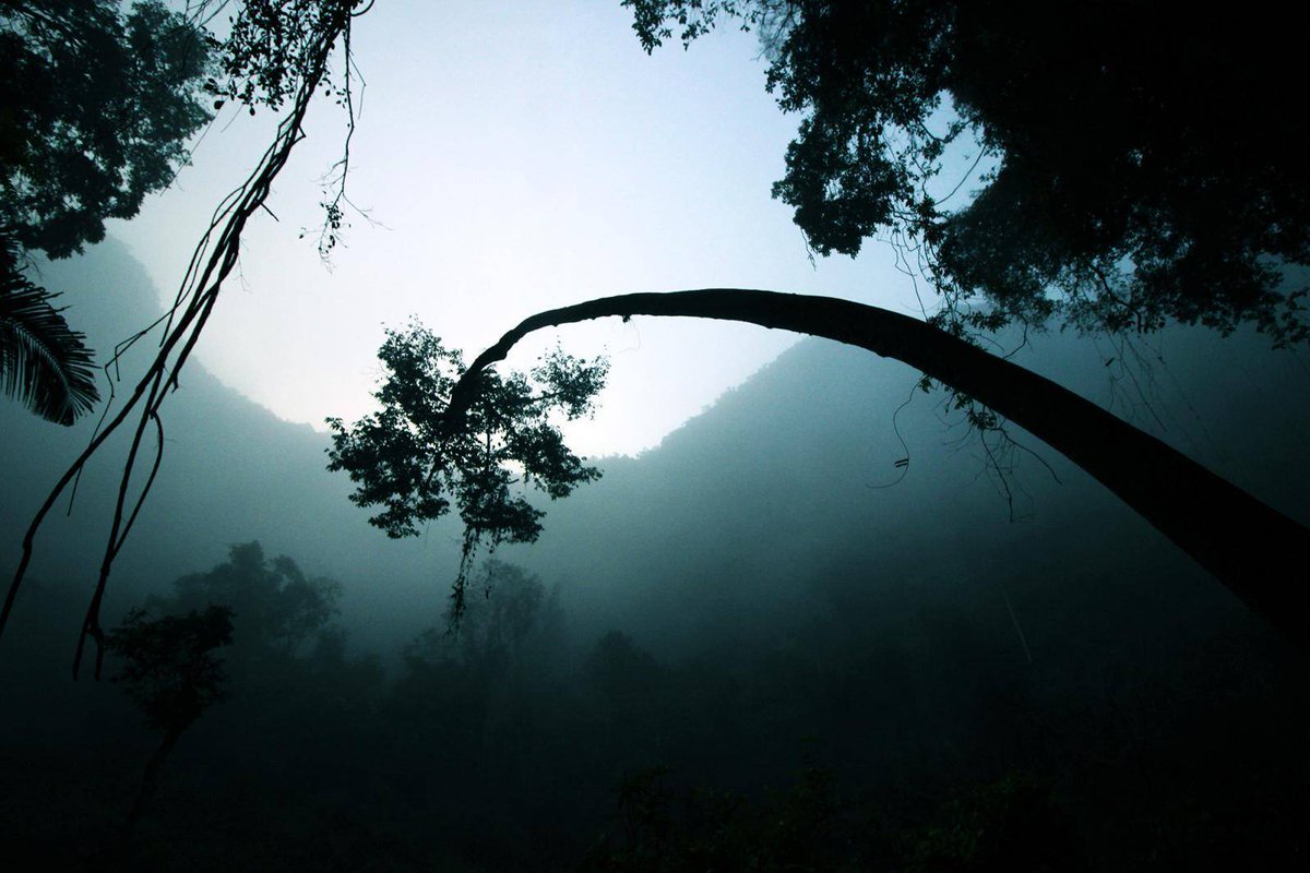 ambe_ridge__375's tweet photo. Sword, silkworm, forest, sniper — the hidden game in the mist! https://t.co/Asjjm8b5kU