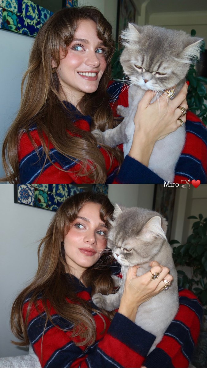 YOYOmiray's tweet photo. My kitty 🐈😍

#MirayDaner #MedCezir #VatanımSensin #BirLitreGözyaşı #TheProtector #Saygı #KaraTahta #KuşUçuşu #HudutsuzSevda #BizeBişeyOlmaz #Alıkara #Hileon #Mihan #Helsav #Irlas #Halzey #Aklal #Işden https://t.co/dUedo2K1lJ