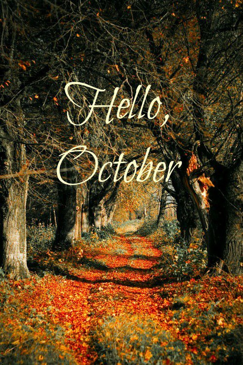 Octobrgrl's tweet photo. 🍁💀🖤 #October 🖤💀🍁 https://t.co/aaY5G58F8H