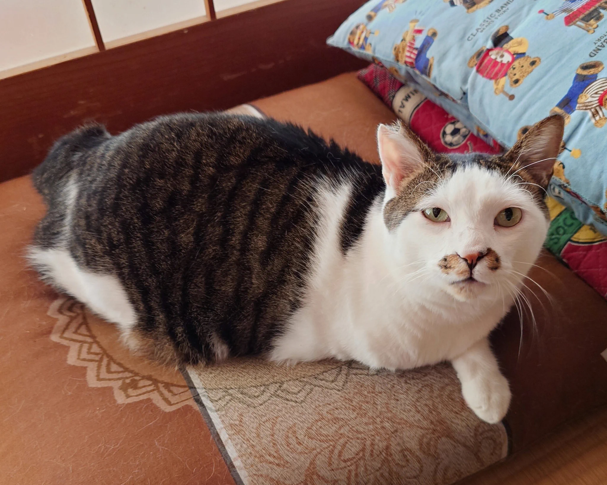 のりまきとやさしい毎日 na platformě X: „10月になったにゃ🐈🍂 今月