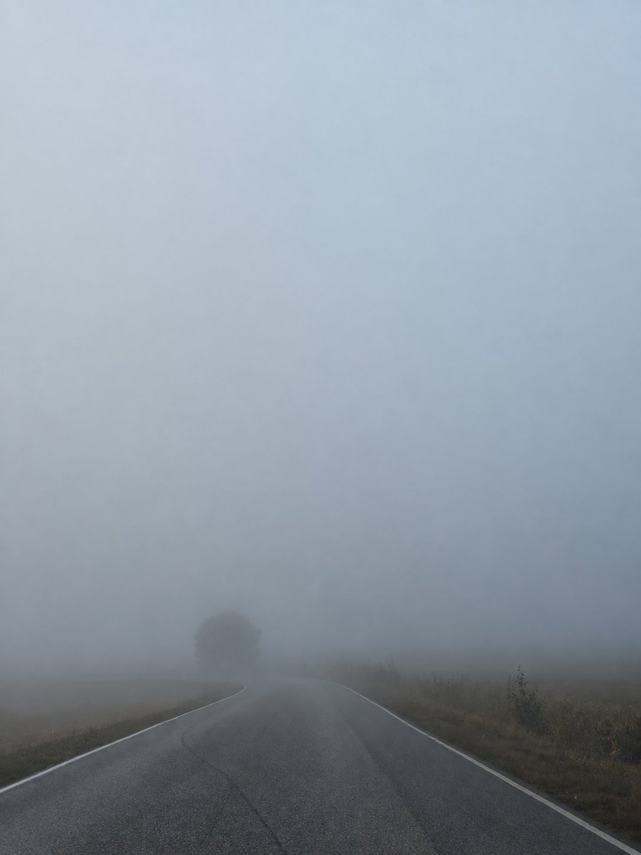 dandiliini's tweet photo. Can barely see where I'm going and it's cold as fuck. Good morning to everyone sending me money and the gorgeous moots 🥰
Findom https://t.co/BPQJcpIw1S