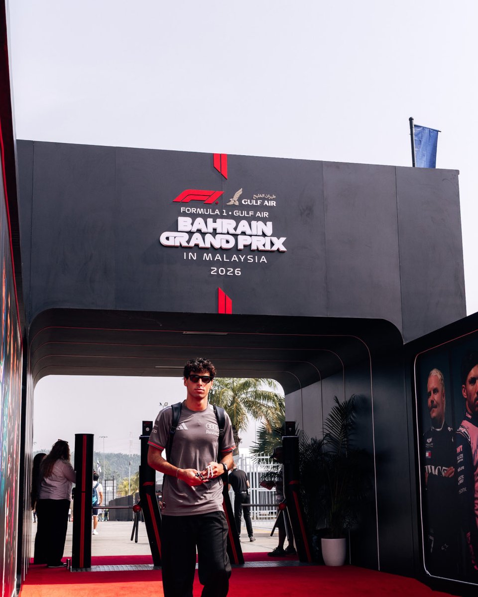 audif1_'s tweet photo. Swipe to walk Gabi into the paddock. https://t.co/gnFgJr7p24