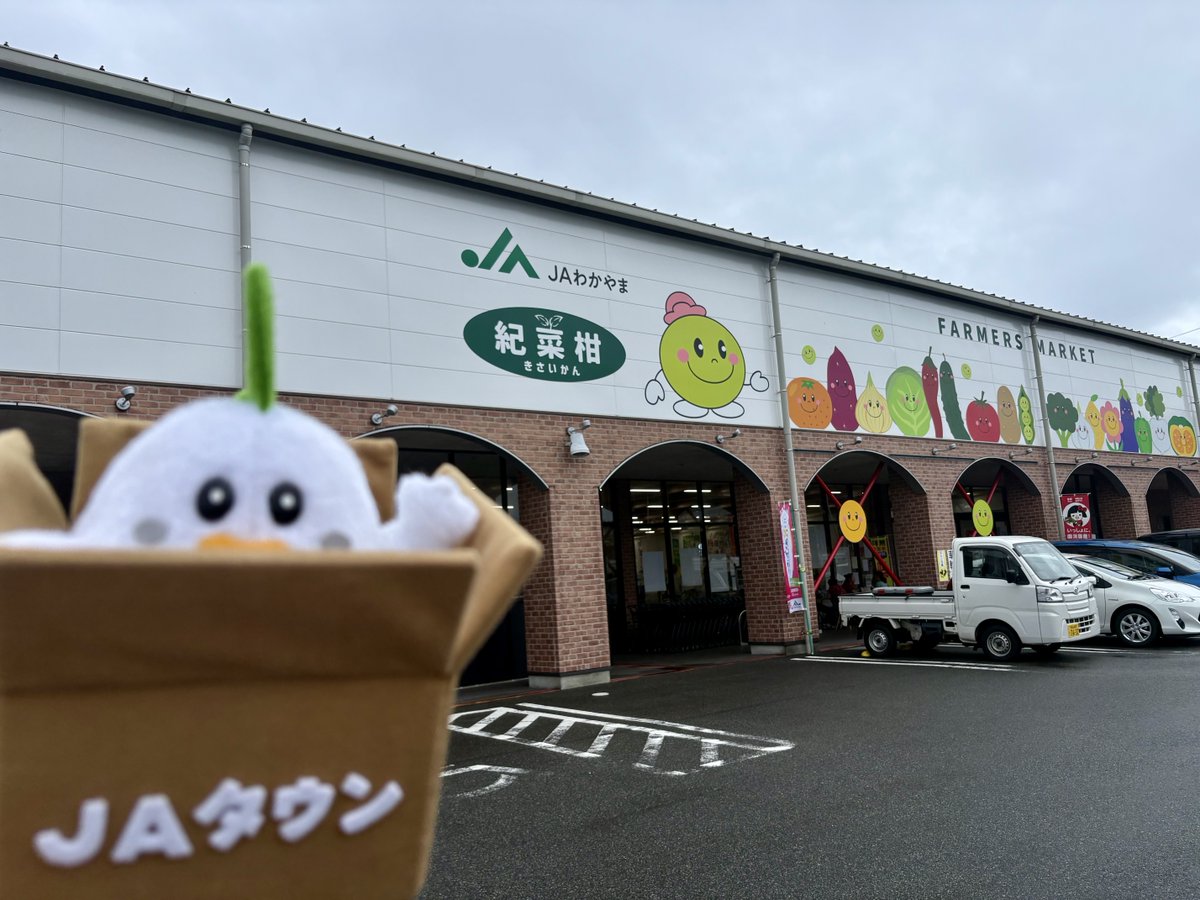 JA_JAtown's tweet photo. #じぇー太 のお土産🛍️

じぇー太 は和歌山県の「紀菜柑」でドライフルーツをゲット✨
フォロー＆リポストで抽選1名様にプレゼントするじぇ～❣️
詳細👉 https://t.co/A29PSSESLj
〆切👉2026/10/4

#JAタウン「ココ・カラ。和歌山マルシェ」では色々なドライフルーツを販売中🍊🍋
👉 https://t.co/cBxZsSCeD2