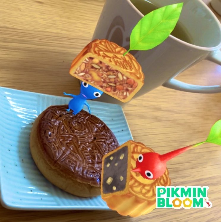 ktst_yuruko's tweet photo. 月餅を食べます  #PikminBloom  #ピクミンブルームARフォト部 https://t.co/0qwCrPwn6K