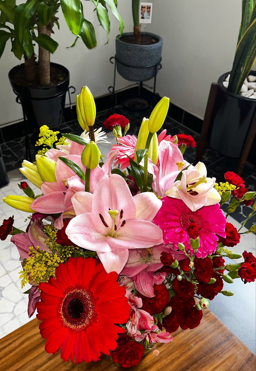 Monarieli's tweet photo. Life lately…. gracias al amor.💘 https://t.co/XgkDsWDgpR