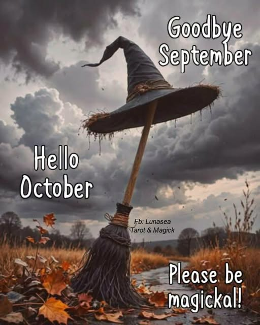 SubRosaMagick's tweet photo. #GoodNightWitches #goodnight #GoodNightTwitterWorld #GoodNightEveryone #goddess #sleepwell #SweetDreams #night #nightprayers #moonlight #witchesoftwitter #witches #moonmystic #staywild #moonchild )O( https://t.co/6jLUF5tM2U