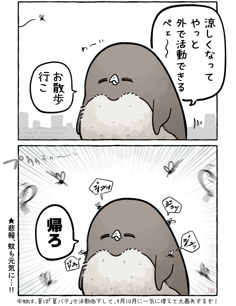 kedama_tori_ki's tweet photo. せっかく涼しくなったのに https://t.co/rSkiCratlz
