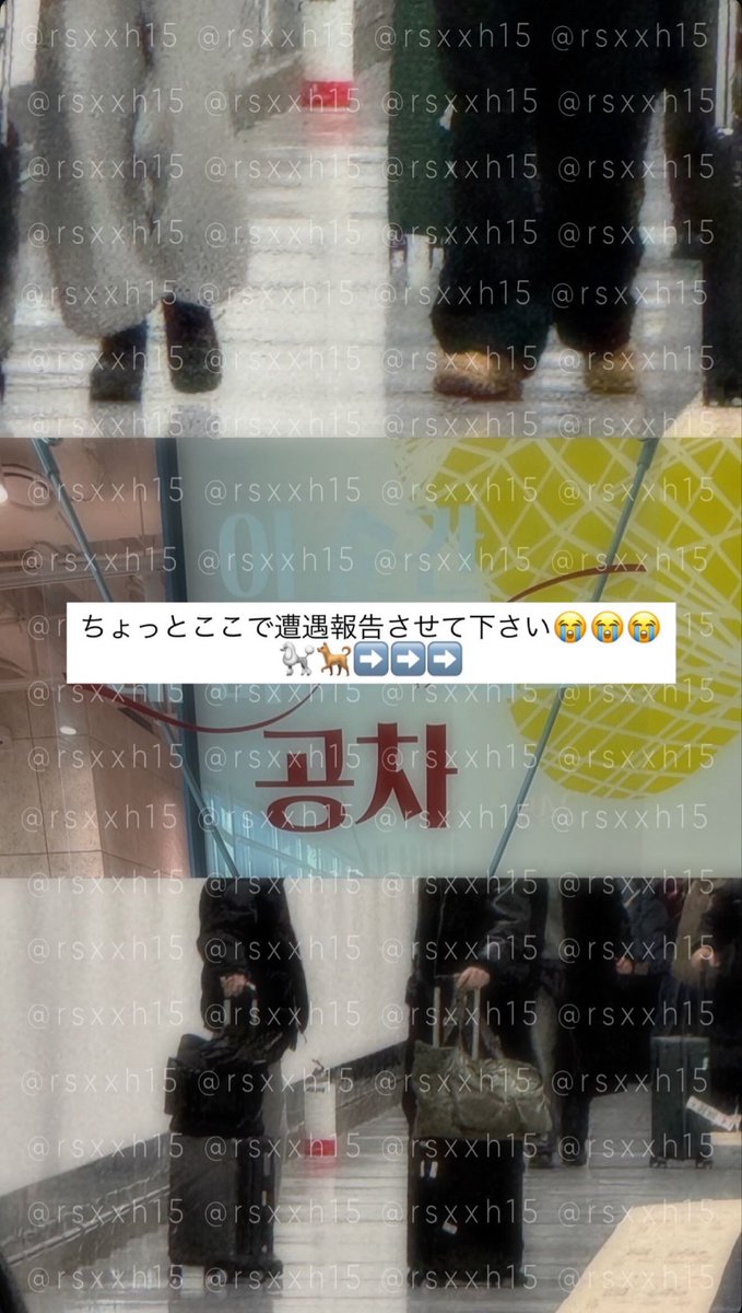 Charlot02655183's tweet photo. back in February, Jake and Sunghoon went skiing in Hokkaido together. a few ENGENEs spotted them at incheon & sapporo airports (including Jake fan, Sunghoon fan, 2J fan, and group fan…) i picked out two of the repos because the conversations and interactions are very cute: 

💫repo 1: 
i was at ICN airport for a business trip, and while i was sitting and waiting to board my flight to sapporo, someone who looked like 🐩 walked right past me. i thought, there’s no way 🐩 is at the sapporo boarding gate right now, but he did say he wanted to go to sapporo before, tho? but i lost sight of him when i was thinking if i should call out to him. right after that, i saw him at the Gong Cha nearby (from another repo, it’s said that Jake was buying Gong Cha there🤣). i finally decided to go up and say hi...since i had 🐩 set as my lock screen, i showed it to him,
🐩: !! it’s me! thank you so much~^^
🦮(leaned in): are you Japanese?
👤: i’m a J-ENGENE.
🦮: oh! thank you so much🙏🏻 no autographs, but handshakes are ok.
i shook hands with both of them😭✨ 🐩’s hand was soft and warm😭 🦮’s hand was rough and very manly😭
we said our thank yous and waved goodbye.
i had boarded my plane earlier so i didn't realize it at the time, but we ended up being on the exact same flight to sapporo 😭✨ after landing in sapporo, at the baggage claim area, i noticed them again. 🦮 and 🐩 noticed me too, and all three of us were totally surprised and just bowed to each otherㅋㅋ 
while i was waiting at the luggage carousel with my coworkers, the two of them walked right up in front of me again, so we bowed to each other again lol. after that, 🦮 and 🐩 went to the restroom together😆.
at that point, it felt kind of awkward, so i figured i’d just leave them be and walked away with my coworkers. while i was spacing out when my coworkers doing the headcount... i honestly didn't notice at all, but once again, 🦮 and 🐩 walked past us. 🦮 noticed me first and went, “ah!”, and then i noticed him too and bowed to him. 🐩 didn't seem to notice at first, but after 🦮 told him, 🐩 turned his head back to look and wave to me. both of them were so sweet, i love them so much😭

💫mini repo: 
when talking with the engene that ran into 🦮🐩 at Incheon during their Hokkaido trip, she told me that Jake was drinking Gong Cha then.

💫repo 2: 
i was a Jake fan and used to actively attend enhypen’s offline events from late 2023 to mid 2025, but i started stanning less since wvrs con in 2025.

when going through customs, there were two guys standing next to me wearing caps and masks. their builds looked so familiar, after making eye contact a few times, i realized it was 🦮 and 🐩...
so when they came out, i went straight to 🦮 and pulled out his photocard (even though i've stopped actively stanning, i still have a habit of keeping a Jake PC in my bag),
👤: ENHYPEN Jake?
🦮: (super alert at first) no picture, sorry~
👤: (i quickly lit up my phone screen to show him i wasn't filming) ok, ok! no, no, no
👤: (hands him the photocard) i'm your super fan, i really loved you for a long time.
🦮:(checks the pc) where are you from?
👤: China! 
(then 🦮 started searching his brain for chinese phrases to talk to me. gosh, what else did he say in between? i was way too nervous and forgot).
🦮: oh! (in chinese) thank you thank you~
👤: can i get an autograph?
🦮: um…um... sorry ㅠㅠ
👤: it’s okay! 
(throughout this whole convo, he kept speaking in chinese to me)

while this was happening, 🐩 was standing right next to us, watching with a soft, gentle smile. when i turned my head and saw this little white puppy looking so adorable, i ended up talking to him a little bit too,
👤: Sunghoonie? 
🐩: yes~
👤: i really love you guys~
🐩: thank you~
and then i went off to find my friends and get my luggage.

cr: 
repo 1: rsxxh15 
mini repo: mi__mi__198
repo 2: H-jaaaq