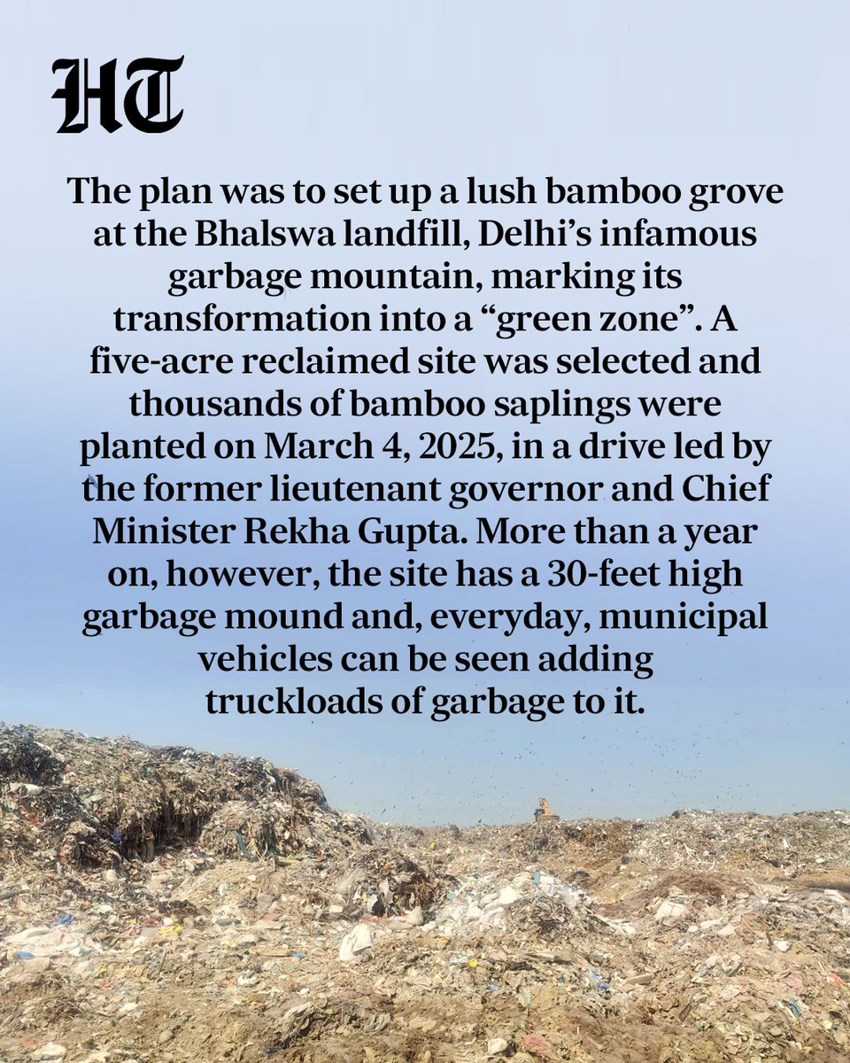 htTweets's tweet photo. The plan was to set up a lush bamboo grove at the Bhalswa landfill, Delhi’s infamous garbage mountain, marking its transformation into a “green zone”. 

A five-acre reclaimed site was selected and thousands of bamboo saplings were planted on March 4, 2025, in a drive led by the former lieutenant governor and Chief Minister Rekha Gupta. 

More than a year on, however, the site has a 30-feet high garbage mound and, everyday, municipal vehicles can be seen adding truckloads of garbage to it.

Read the full story🔗https://t.co/fJx0f87D5r

(@appriseParas ✍🏻)