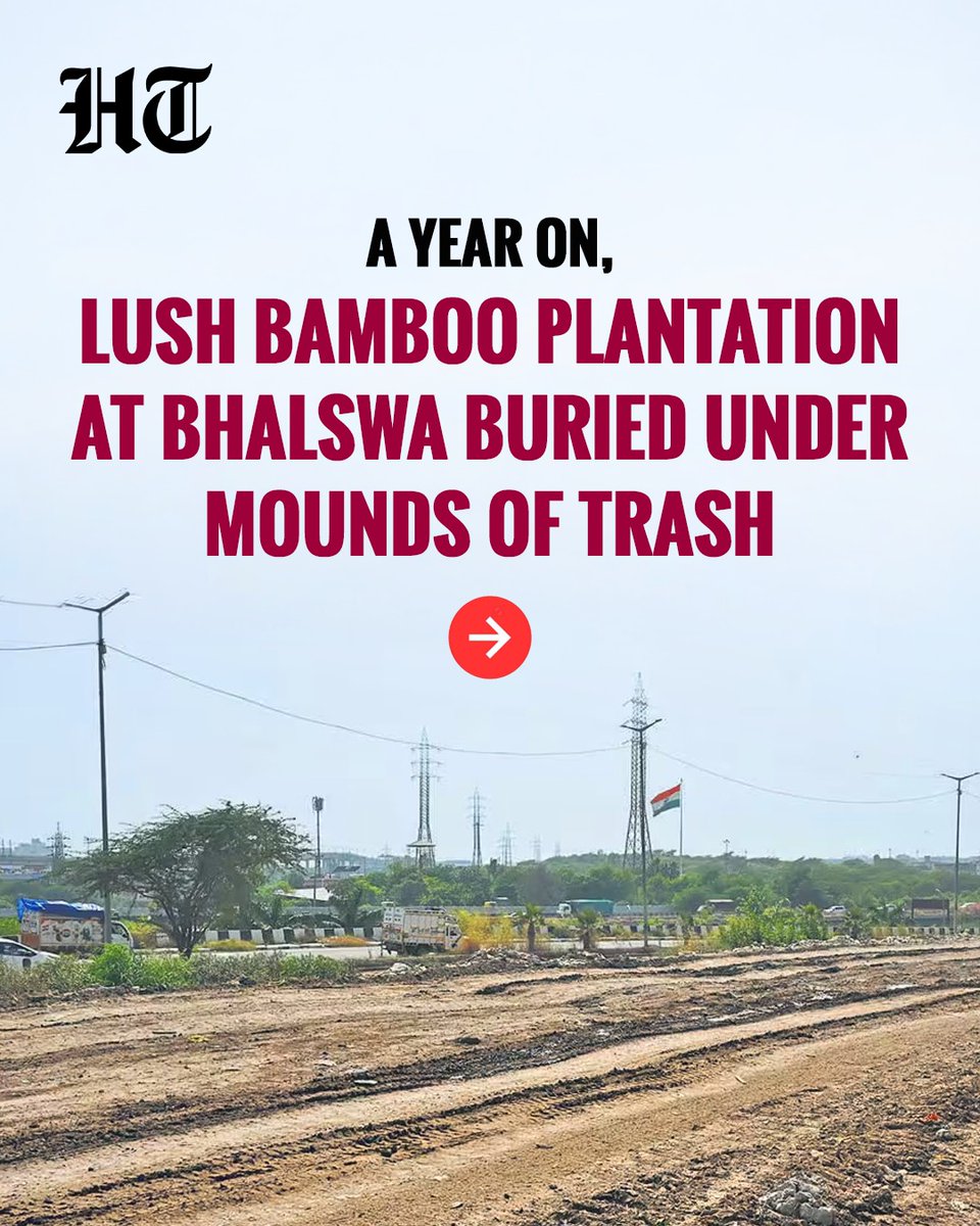 htTweets's tweet photo. The plan was to set up a lush bamboo grove at the Bhalswa landfill, Delhi’s infamous garbage mountain, marking its transformation into a “green zone”. 

A five-acre reclaimed site was selected and thousands of bamboo saplings were planted on March 4, 2025, in a drive led by the former lieutenant governor and Chief Minister Rekha Gupta. 

More than a year on, however, the site has a 30-feet high garbage mound and, everyday, municipal vehicles can be seen adding truckloads of garbage to it.

Read the full story🔗https://t.co/fJx0f87D5r

(@appriseParas ✍🏻)