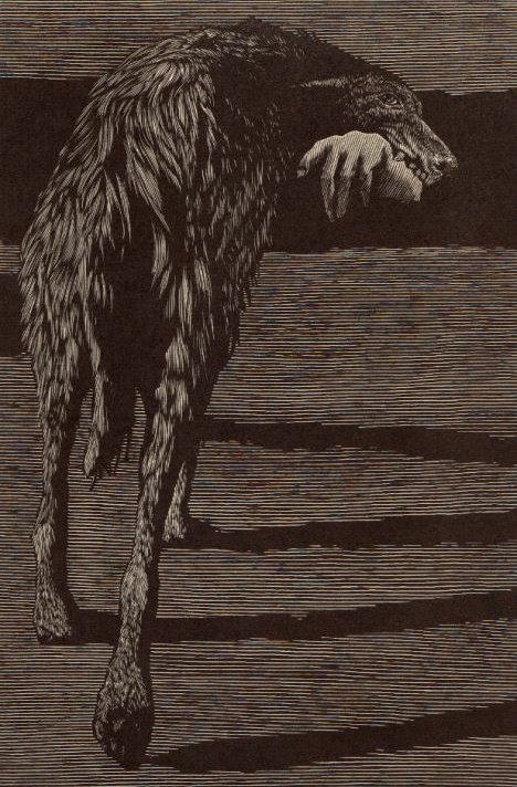 StephenGeoRae's tweet photo. #NationalBlackDogDay A Shuck was known to haunt woodland around Ayr. These black dogs from lore are often seen as an omen of death, but in this tale, Shuck was saving a child from a wolf

from my "Folklore of Scotland"
https://t.co/Cc3U3DglFl

art: Barry Moser #31daysofHalloween https://t.co/kZTzUZzOEV