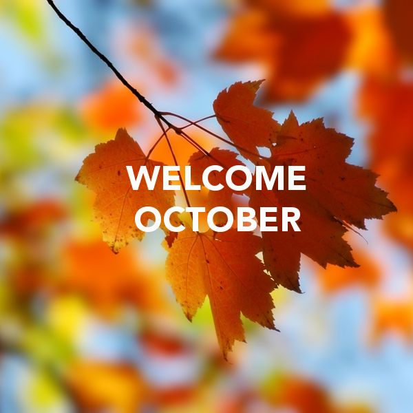 gilsimmons's tweet photo. 🐇🐇 Welcome to October! So-so today with a band of AM clouds and a shower/sprinkle to some sun and 70s with humidity too. Warmer 77-82 tomorrow with evening spotty showers and Saturday is pick of the weekend! Rain late day Sunday. Join us on @WTNH ! https://t.co/jsVEQH5WTs