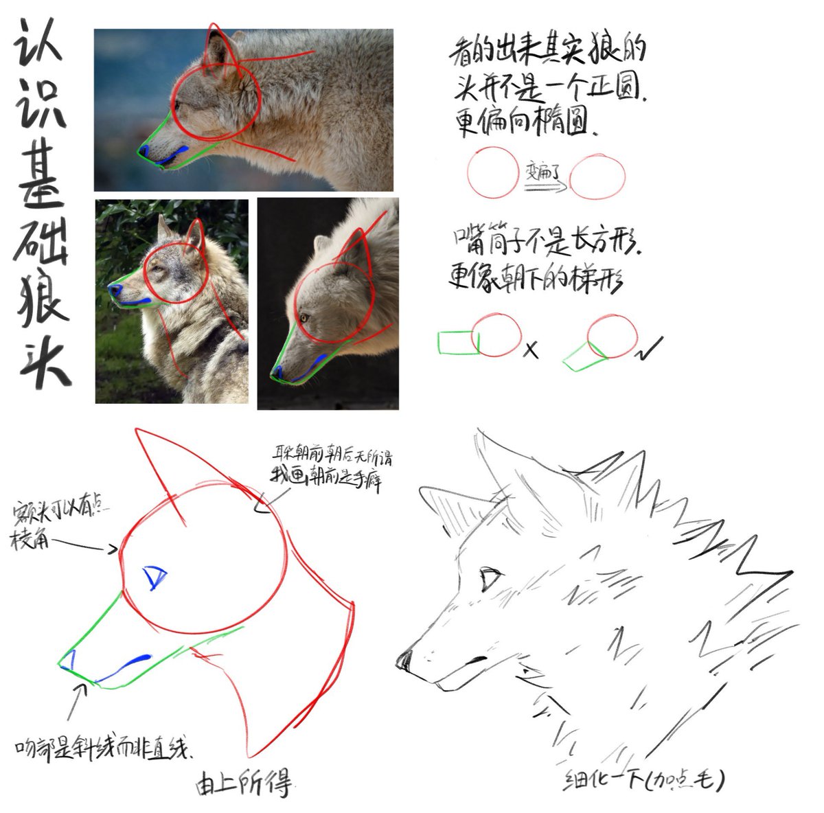 aka65078743's tweet photo. 画都画了，那我传一下
呃我不是专业的啊反正画出来像那么回事就行，如果真的能教到人那就太好了 https://t.co/3xV0kbVbqj