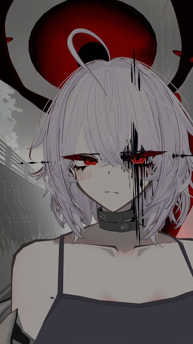 mormo1214's tweet photo. この子で次動画作ります。 https://t.co/0VJexU7hl8