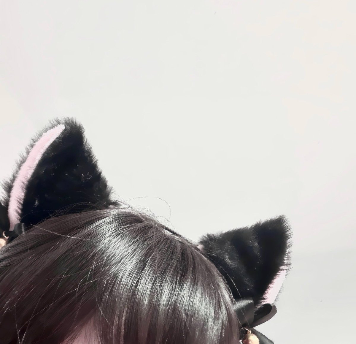 Wwi2uh's tweet photo. 今天猫猫头出击 https://t.co/HaKs1lgj9F