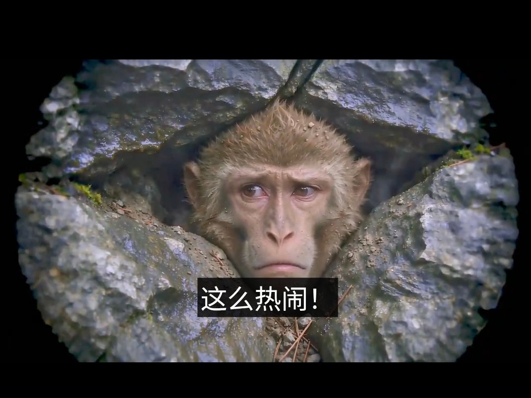 jp3jq's tweet photo. 出了什么事吗？这么热闹，急死我了，谁能告诉我一声啊！
#关注必回 https://t.co/Xf95jutlWy
