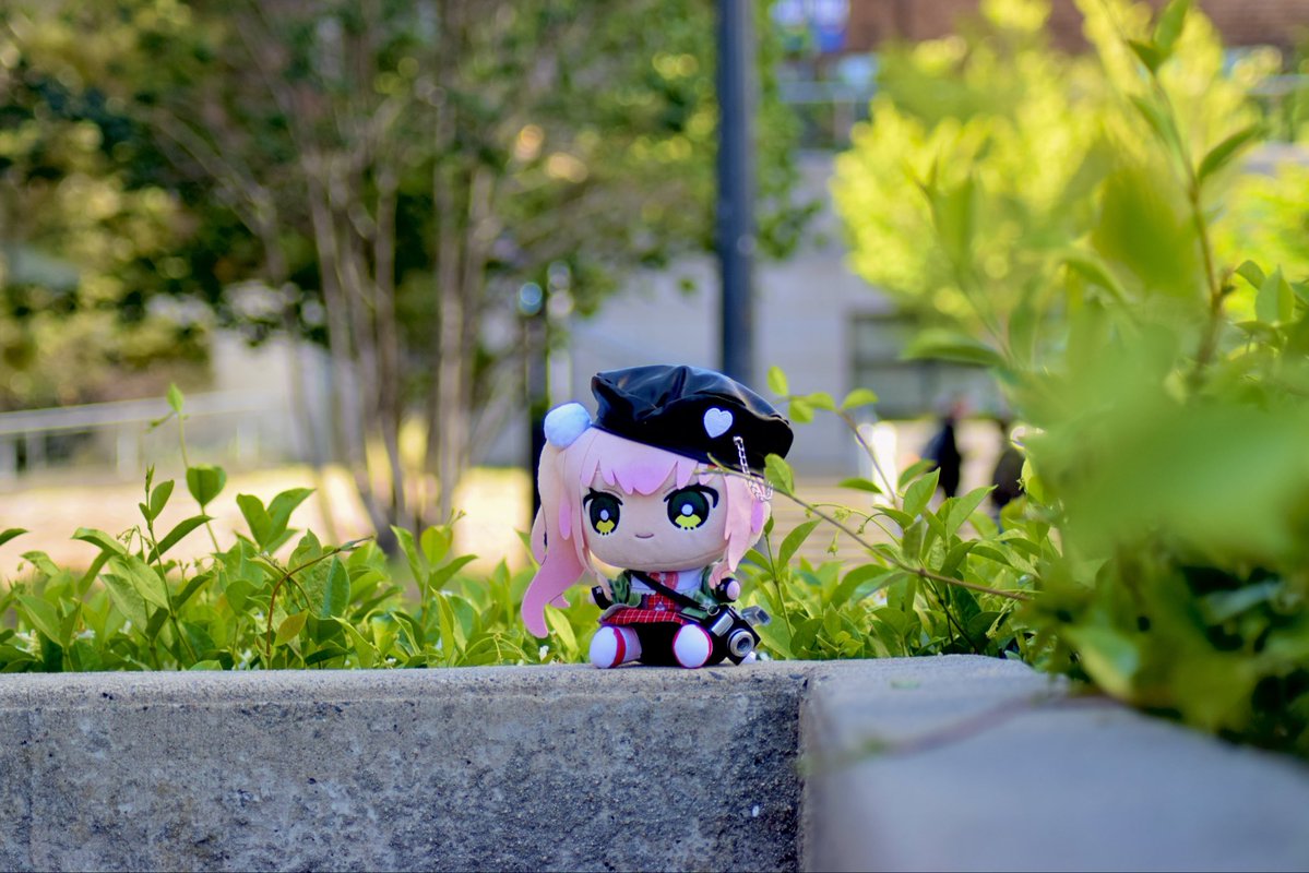 MultiCube26's tweet photo. Nene the Photographer 

#みてみてねねち https://t.co/dv8vAsUszS