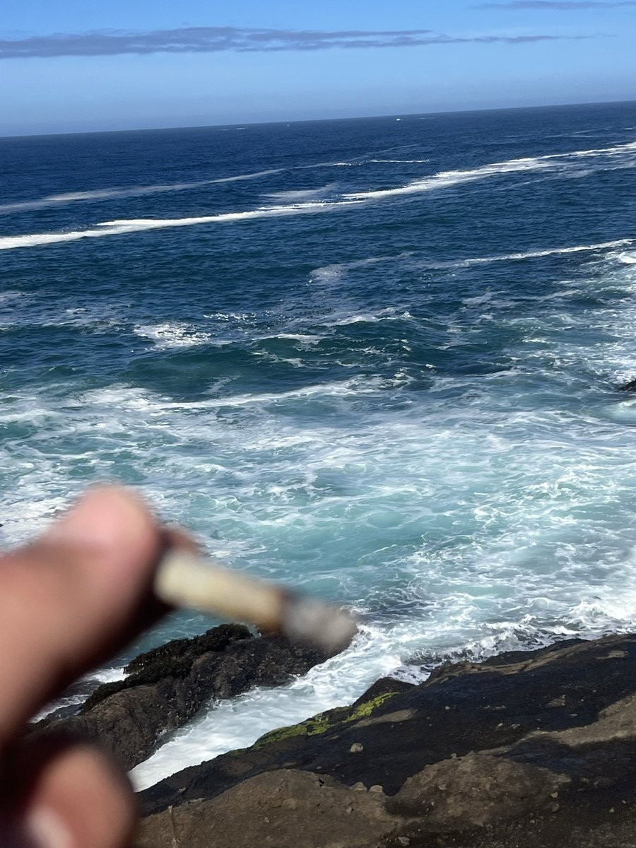 missnhippi's tweet photo. Anybody else like to smoke in cool spots. You got a friend that knows a spot cool to smoke. I like to travel all over Oregon an smoke at cool spots. Here is one from today. https://t.co/rKTByGK6Cn