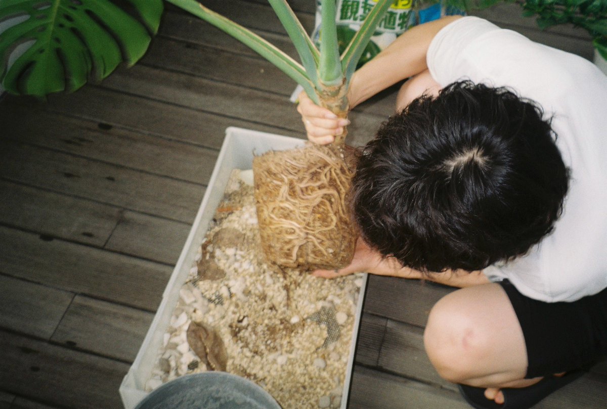 ueno_daiki's tweet photo. 写真 https://t.co/hBtBIbkBy1