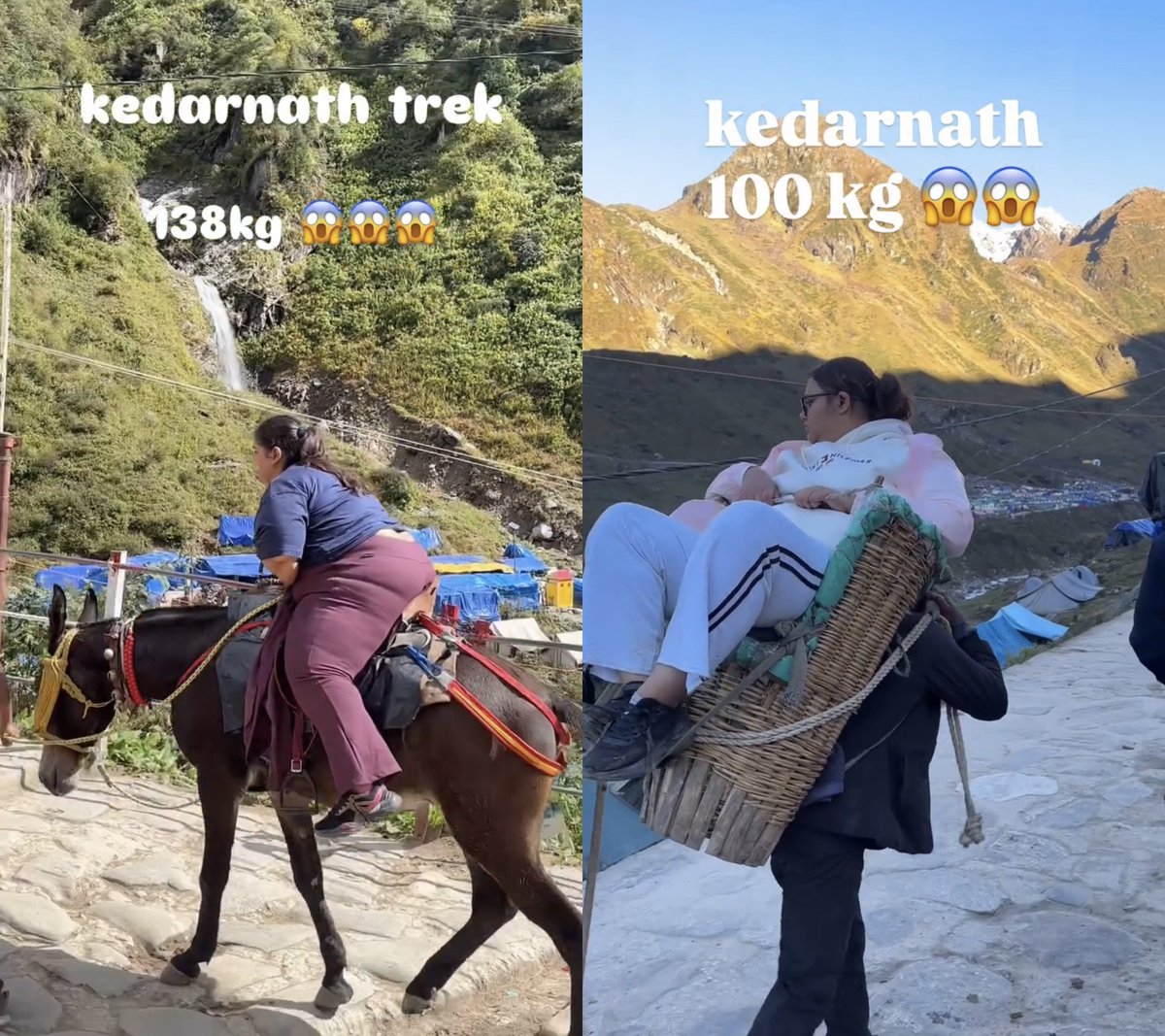 venom1s's tweet photo. Why is PETA India silent on this?

This should come under animal abuse.

These poor horses can't handle that much weight, especially in mountainous regions.

Also, if they can't walk, why do such people go on treks? https://t.co/TVgKPzaHzd