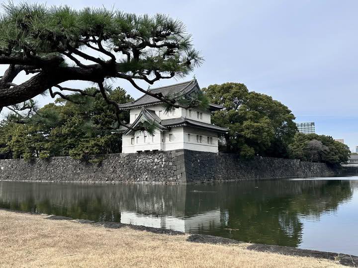 WorldCityX's tweet photo. Tokyo 🇯🇵🗼🌸⛩️ https://t.co/dap20gtUZr