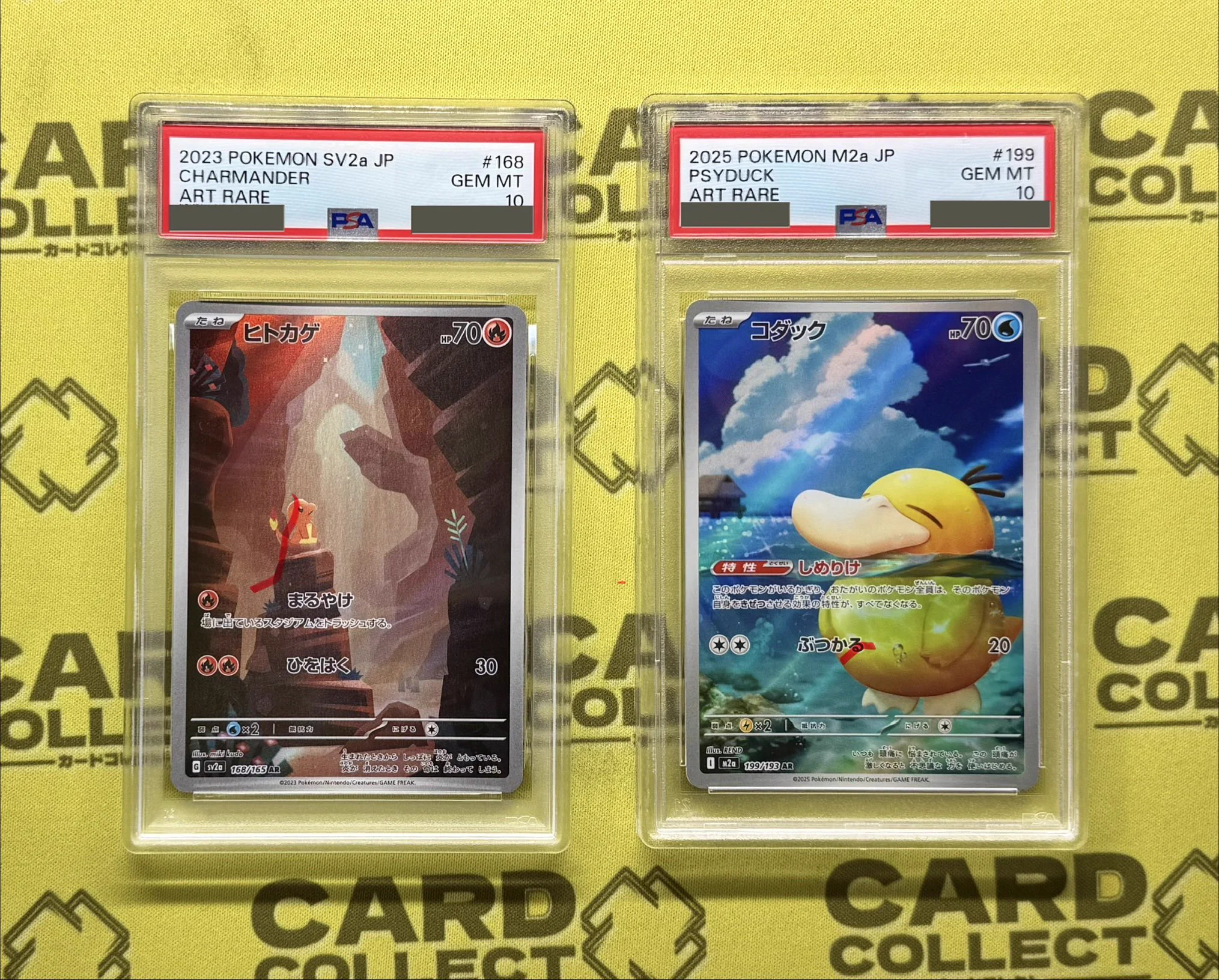 カードコレクト秋葉原 -HANARE-@ポケモンカード PSA 買取 旧裏 Pokemon