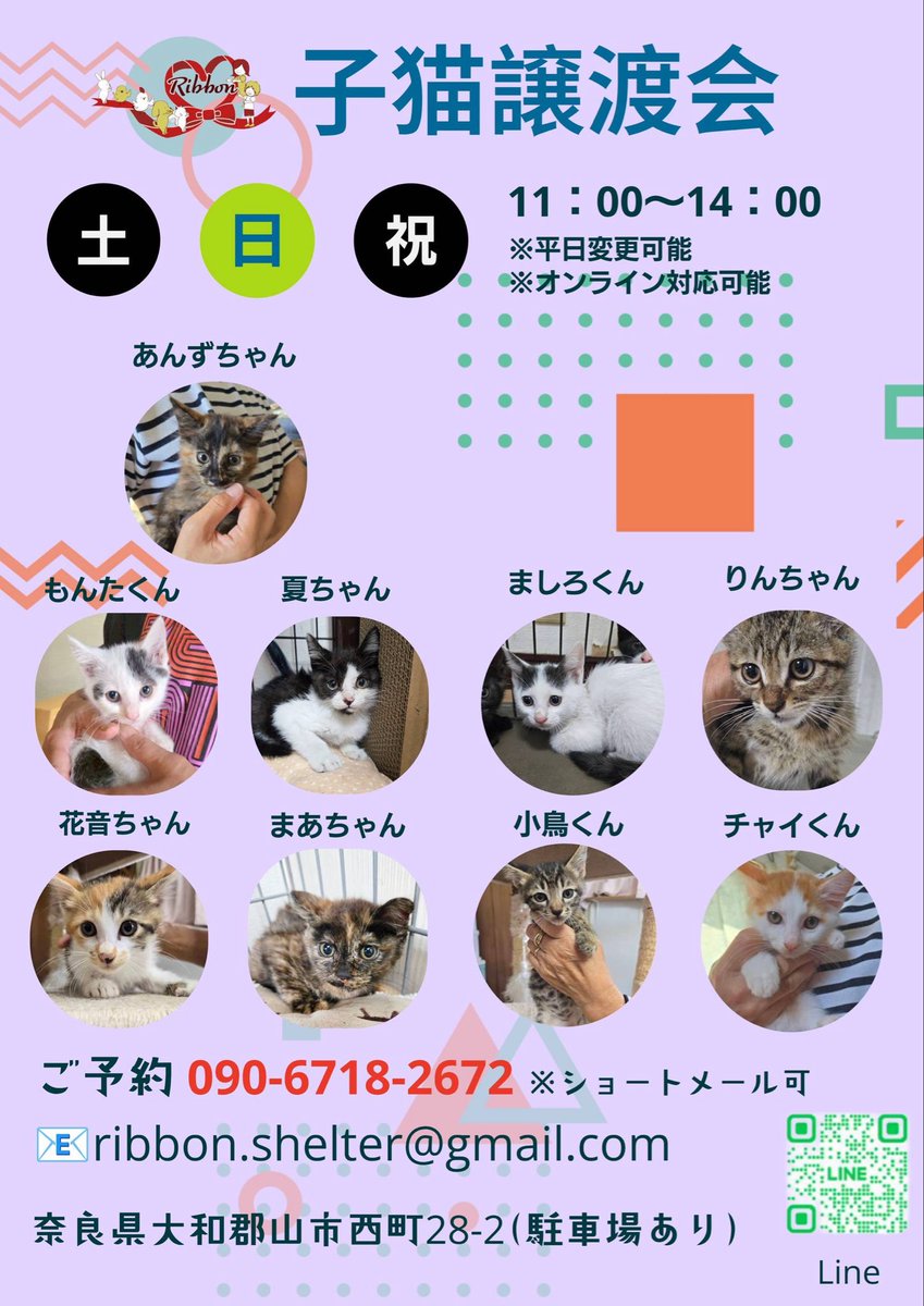 ribbon_shelter's tweet photo. 週末、譲渡会のお知らせです。雨降りが続いて大変でしたね。今週末はどうかな〜ホームページで紹介している保護っ子にピンときた方はご予約の上、施設にお越しください🙏駐車場🅿️有。ボランティアさんも大募集しています。お待ちしております❣️ https://t.co/NiULwIW4JK