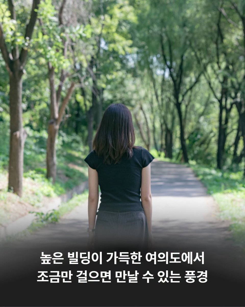 HappyYDP's tweet photo. 영등포인트 #7. 여의도 샛강생태공원

🌿 빌딩숲에서 5분, 진짜 숲을 만나보세요!
 
높은 빌딩이 가득한 여의도에서
조금만 걸으면 만날 수 있는 초록빛 쉼터 🌳
 
대한민국 최초의 생태공원인
여의도 #샛강생태공원 을 소개합니다 😊
 
문의: 서울시 미래한강본부 ☎️ 02-3780-0561 https://t.co/pwQb6O0aeu