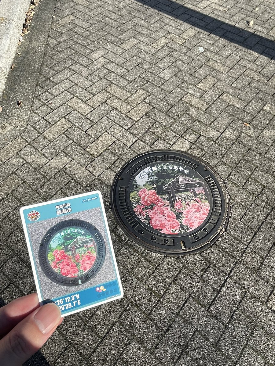 teacherF_250420's tweet photo. 2026.10.01
綾瀬市（A001）の #マンホールカード をゲット👏

テスト期間で午前中で終了のため、午後は年休をもらって #蓋活 しました😆

今週から綾瀬市役所下水道課（庁舎4階）にて一般配布が再開されたので貰いに行ってきました！

もう一枚も普通に配布してほしいよね… https://t.co/oRu6nv4gez