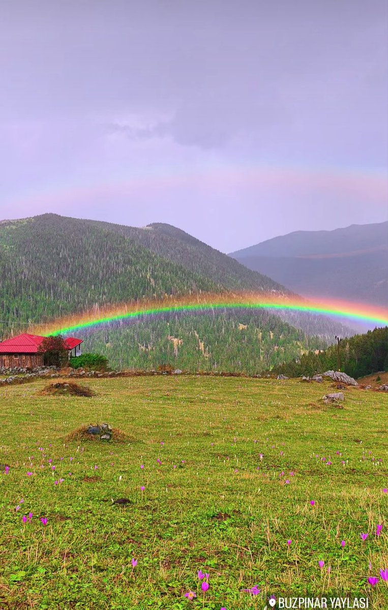 serefoguz's tweet photo. YAYLADA GÖKKUŞAĞI
Yayla kulübemi şimdiden özledim. 
Yağmur öncesi, sırası, sonrası; gökkuşağı şöleni.
Vargit Çiçekleri açmış; "varın, gidin" diyor sanki.
Fotoğrafı; yayla dostumuz Emine Çolak hanım çekmiş.
Kendisine teşekkür ediyorum. #yayla @serefoguz