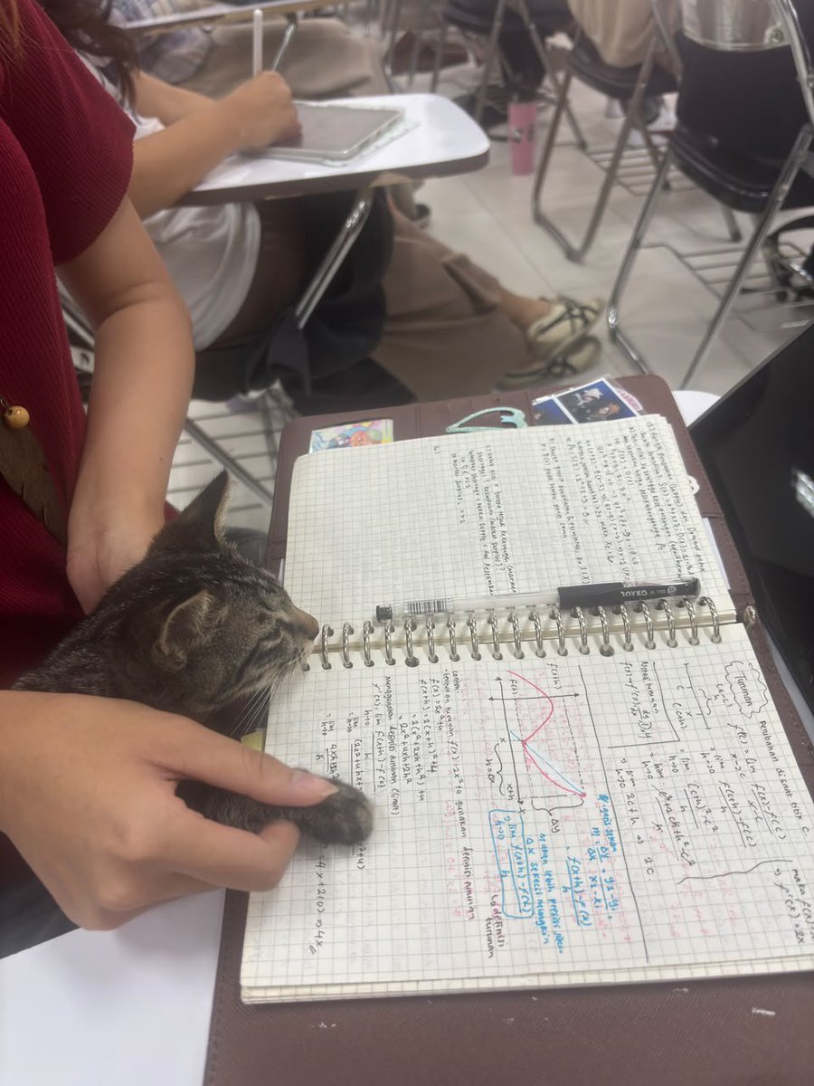 chewingongummy's tweet photo. average itb cat: belajar kalkulus https://t.co/e690ZSDzJ5