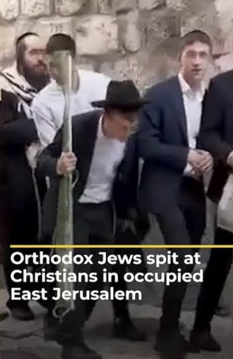 001vinast's tweet photo. @qx292xq Civilized 🇮🇱 spitting on the goy

🇮🇱🗣️💦✝️ https://t.co/lKPEfniLJL