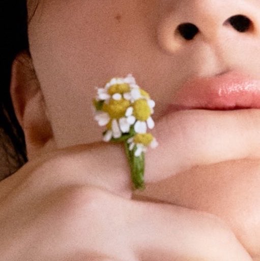 shuaashoot's tweet photo. the daisy 👀 https://t.co/AKfUNK8qr2